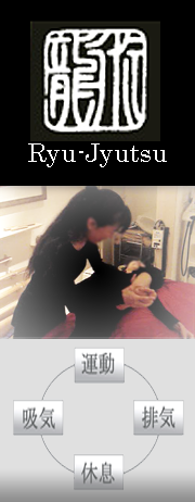 龍術スクール｜Ryu-Jitsu School